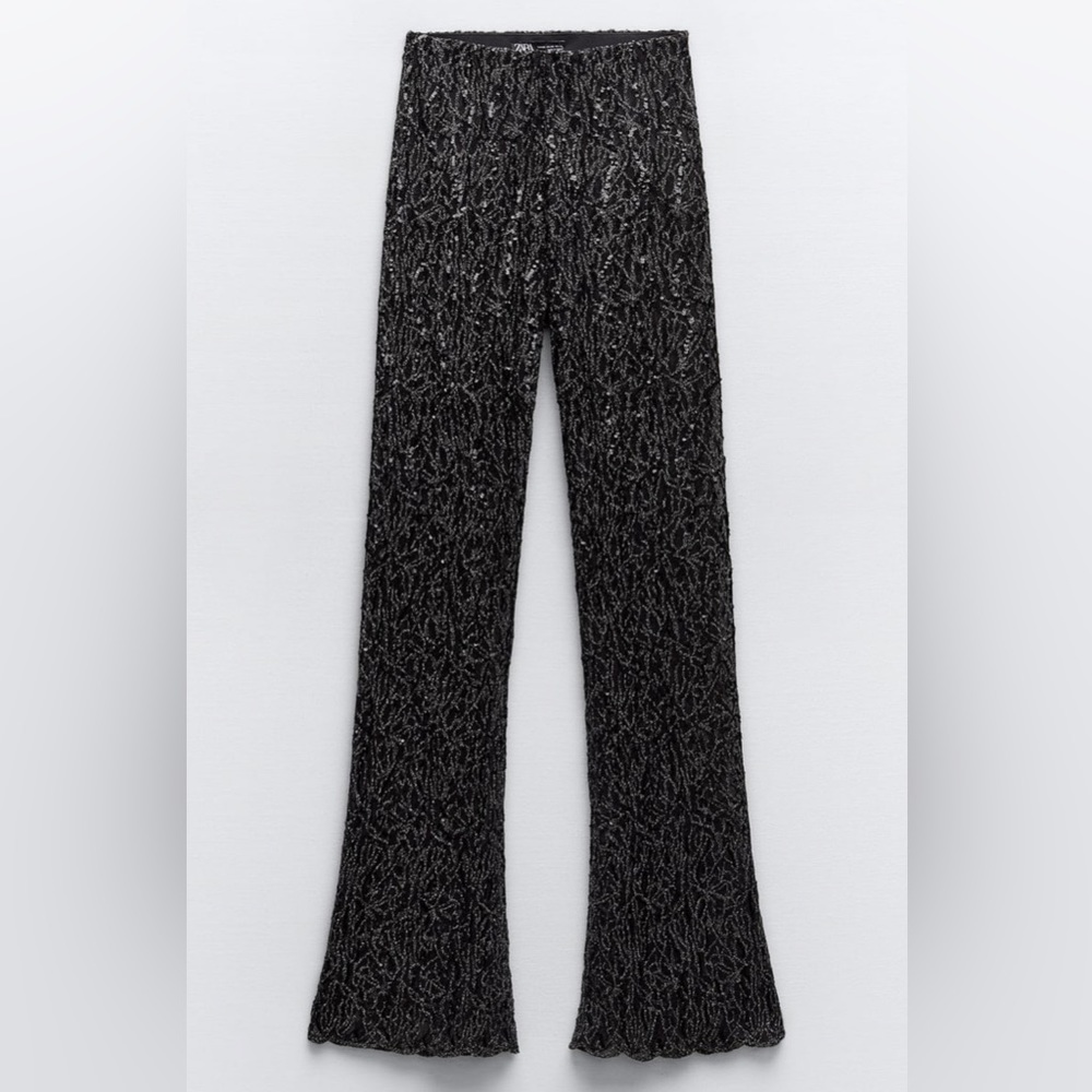 Zara semi sheer sequins embroidery flared pants